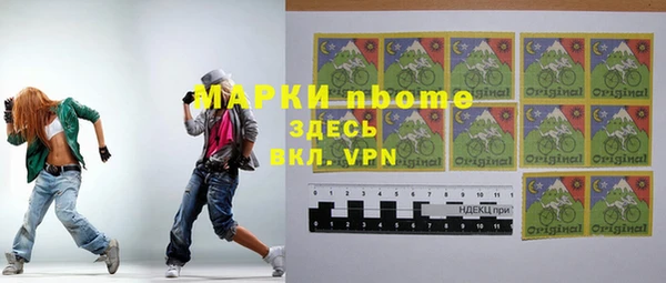 твердый Инсар