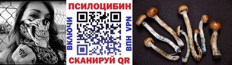 kraken зеркало  Покровск  Галлюциногенные грибы Cubensis  где продают  